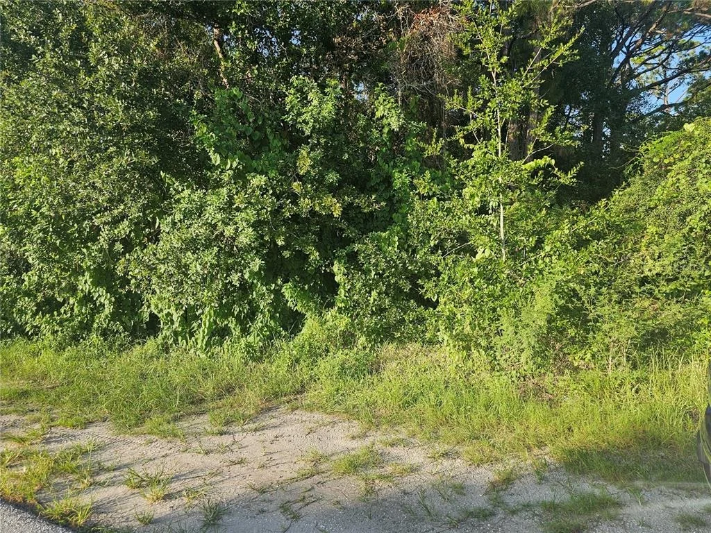 Photo of 205 SERENADE DRIVE