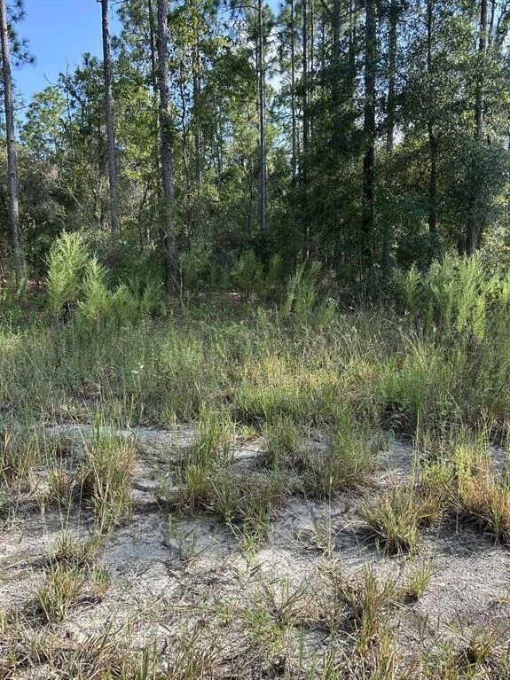 Photo of 103 103 LEE DR