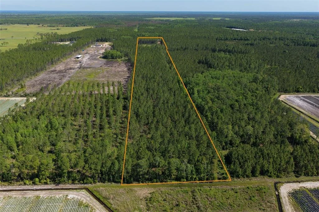 Photo of 15539 COUNTY RD 305