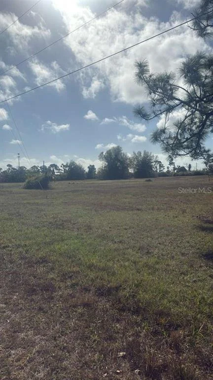 Photo of 19 CARLINE LANE
