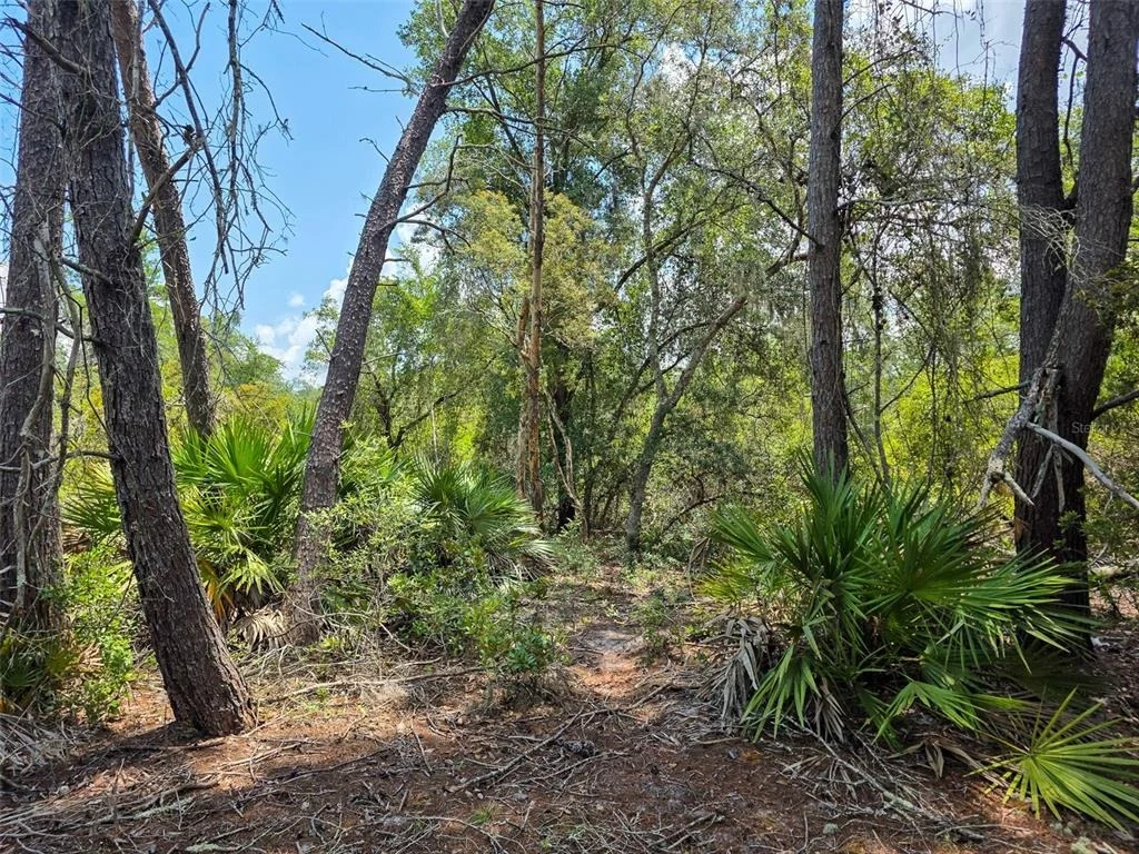 Photo of 340 SAND PINE PLACE