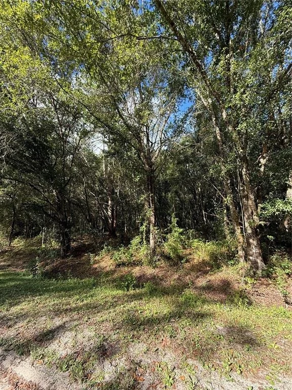 Photo of 1166 HONEYTREE STREET