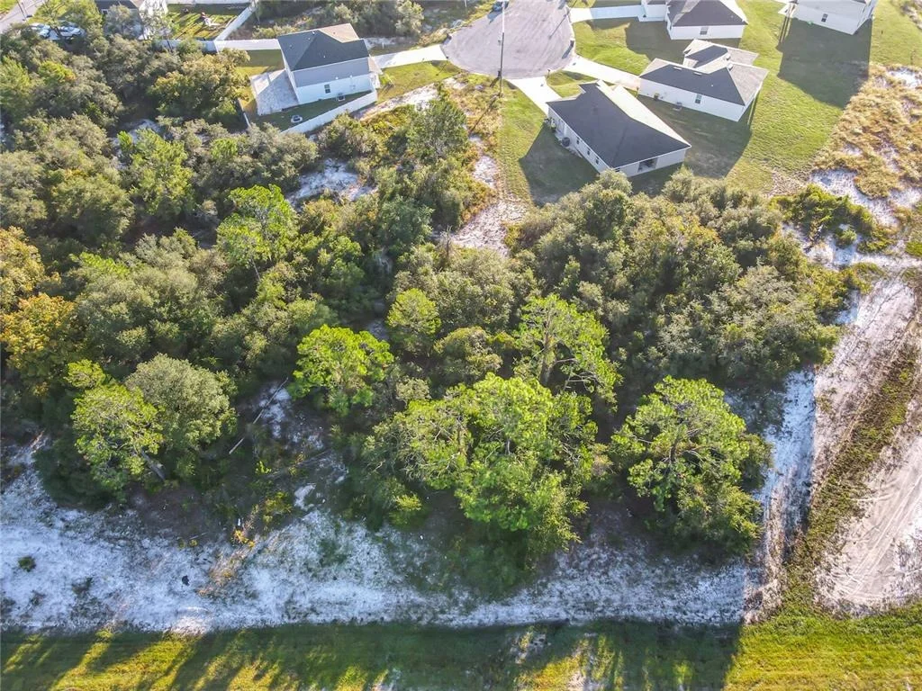 Photo of 1257 AMAZON LANE
