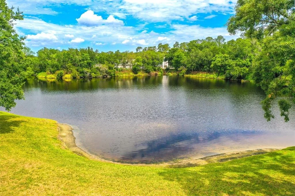 Photo of 2539 CENTENNIAL FALCON DRIVE