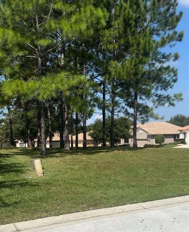 Photo of 994 W SILVER MEADOW LOOP
