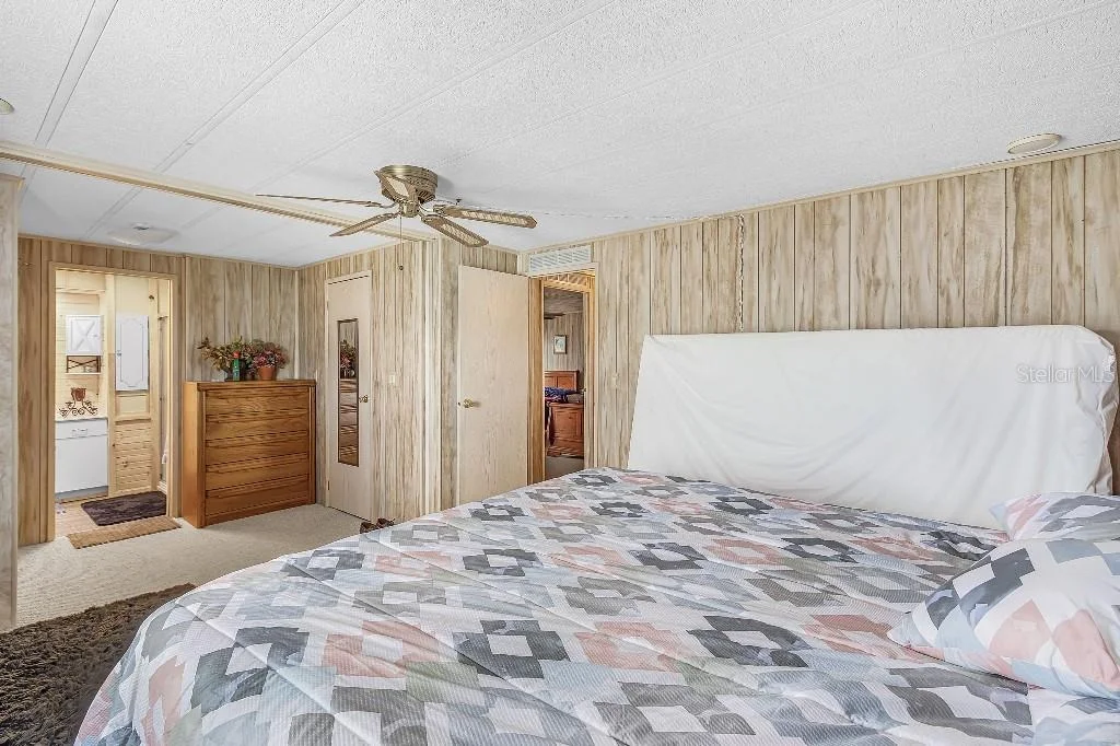 Photo of 251 IBIS