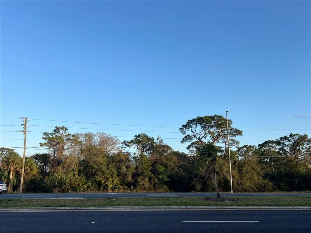 Photo of 0 US 19 HIGHWAY
