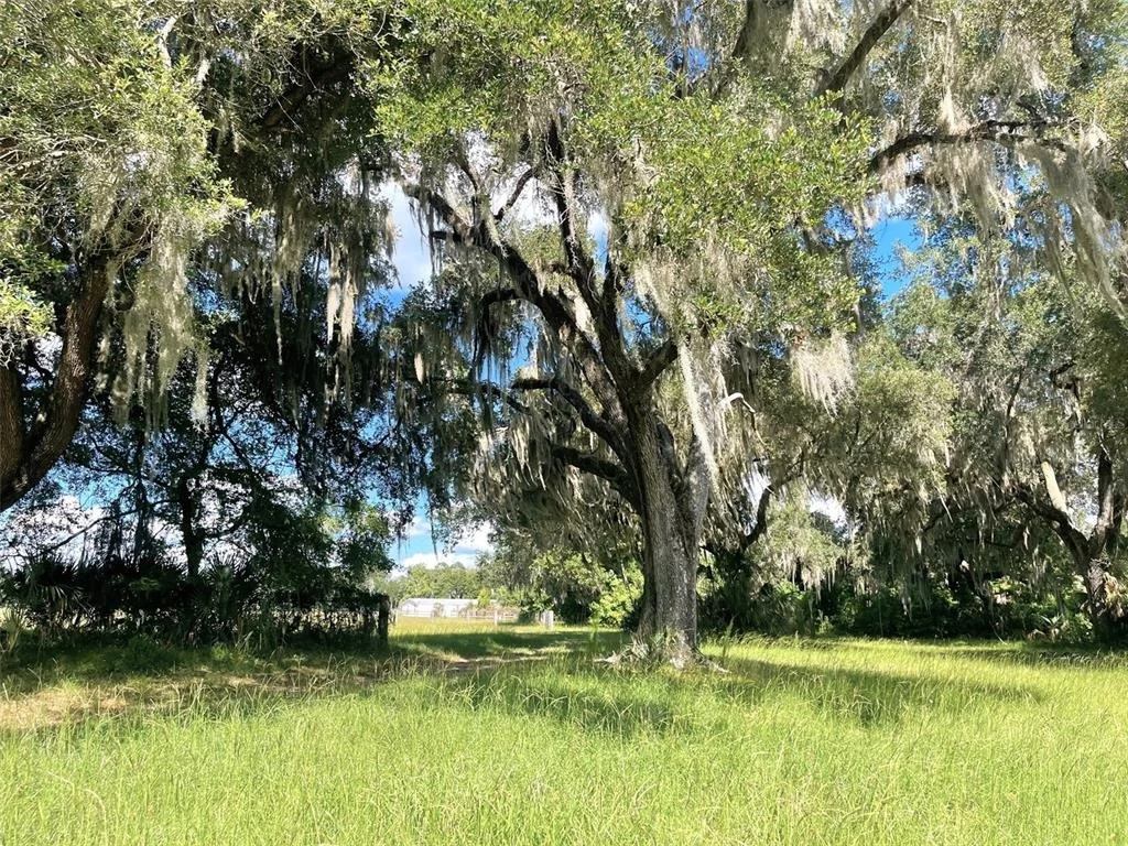 Photo of 11816 SE COUNTY ROAD 234