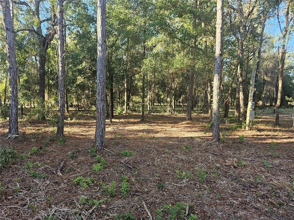 Photo of 4462 & 4484 N WELL VIEW POINT