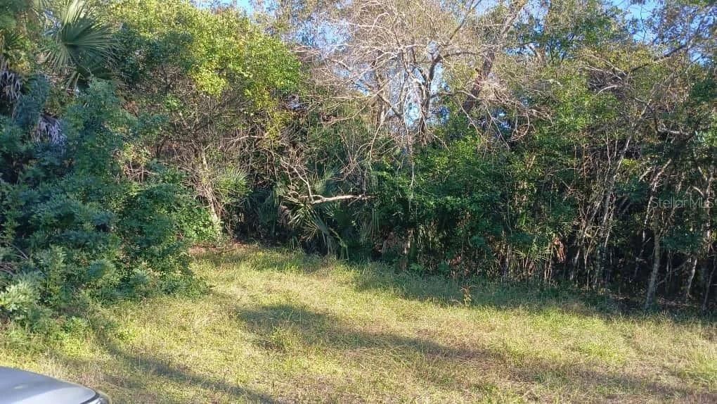 Photo of AVENUE O