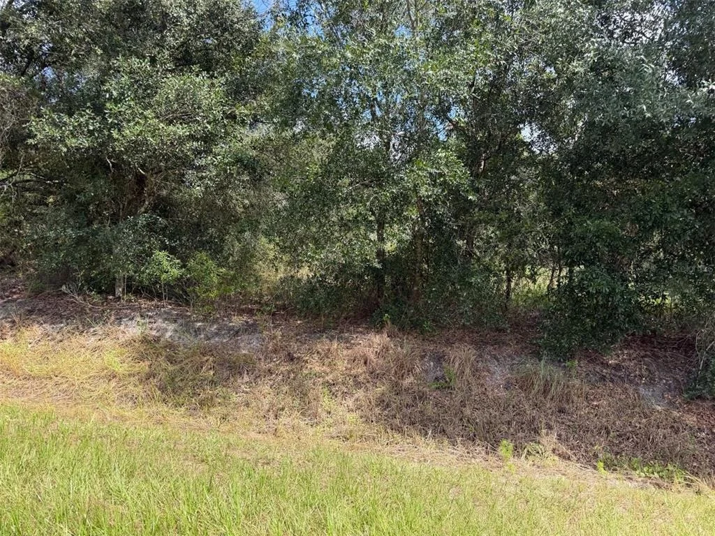 Photo of 21971 NW 260TH STREET