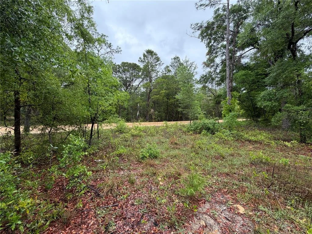 Photo of 301 RAINBOW DRIVE