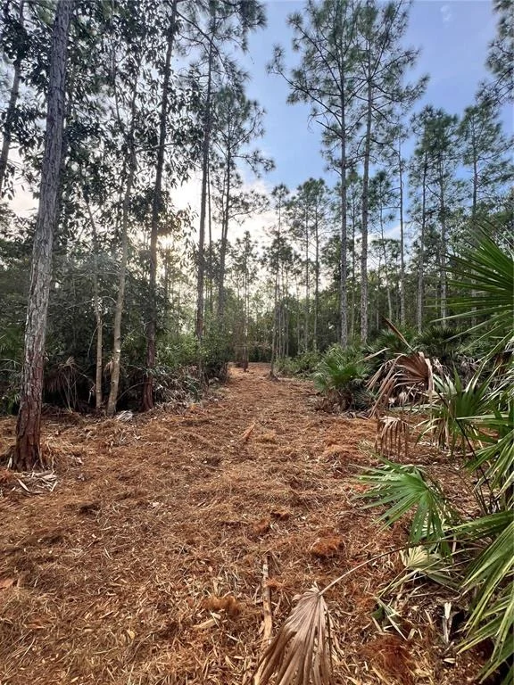 Photo of PANTERA LN