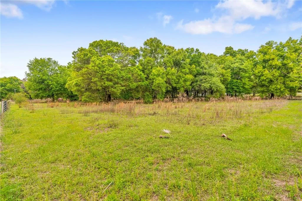 Photo of 11340 BESSIE DIX ROAD