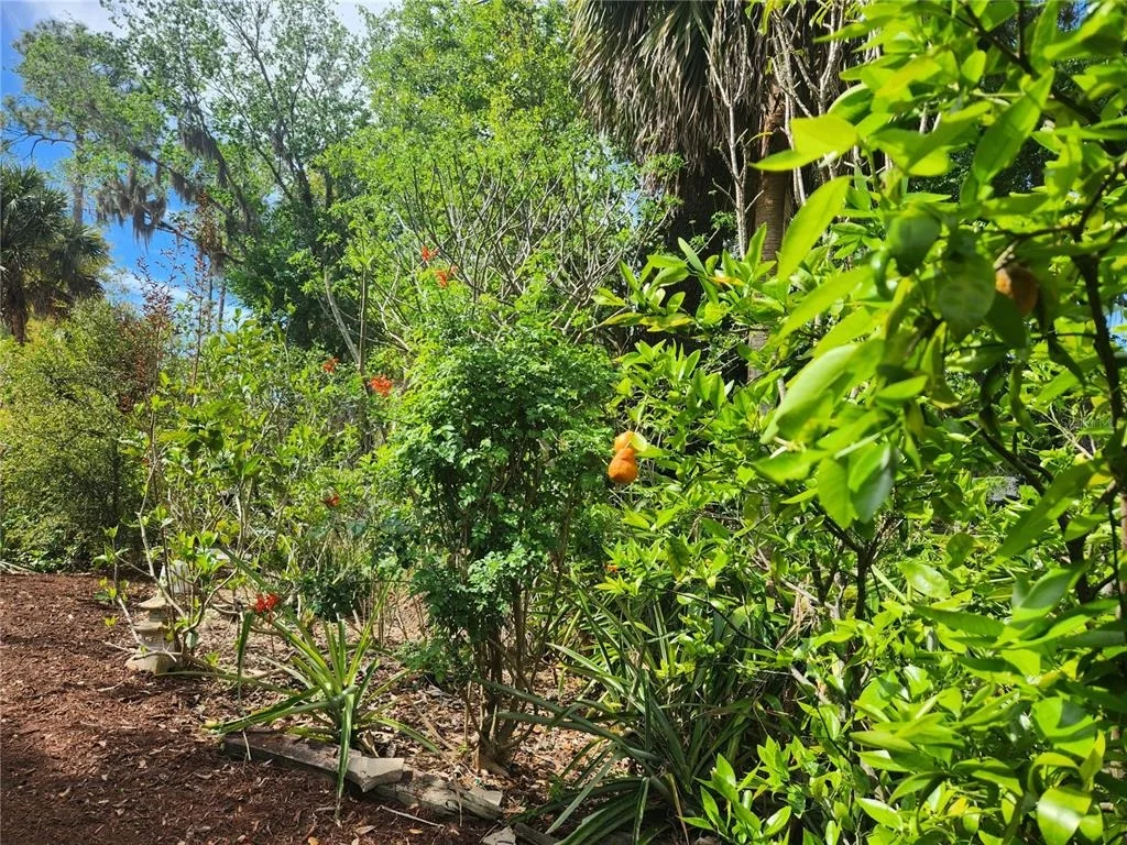 Photo of 1035 SIRUS TRAIL