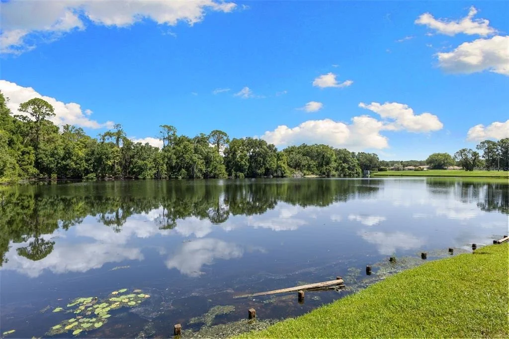 Photo of 4201 WATERSCAPE DRIVE