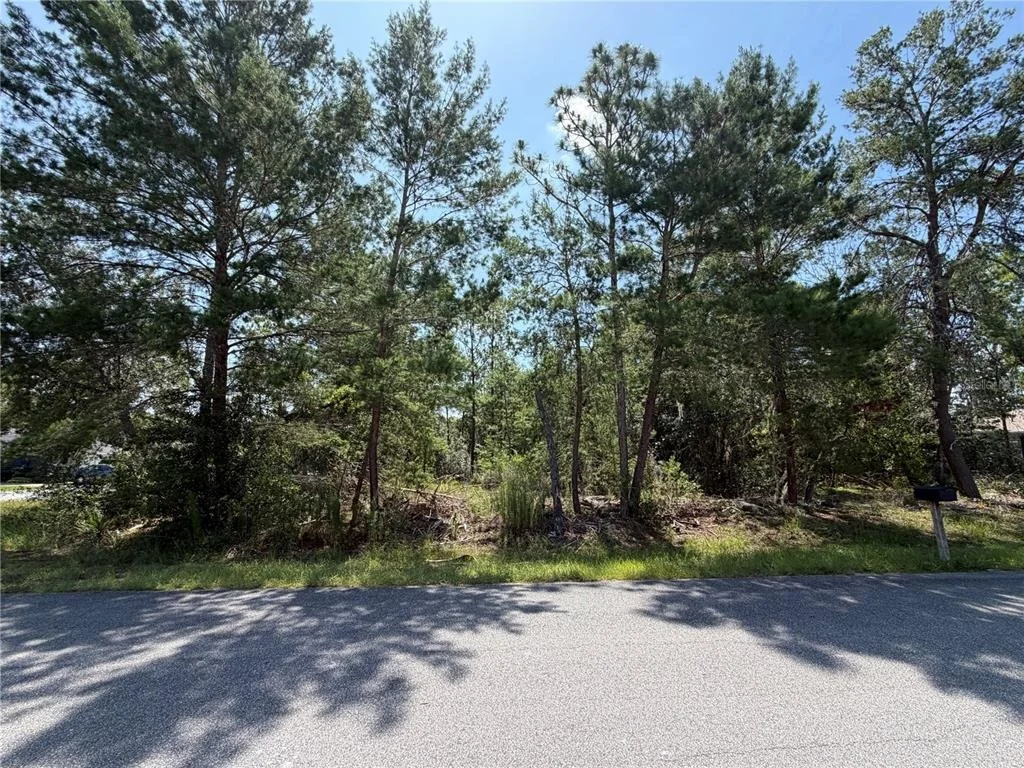 Photo of REDWOOD RUN LOOP