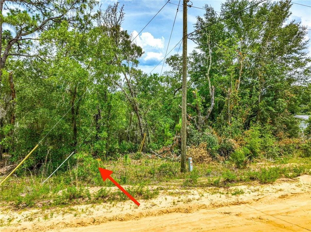 Photo of 128 CARMICHAEL ROAD