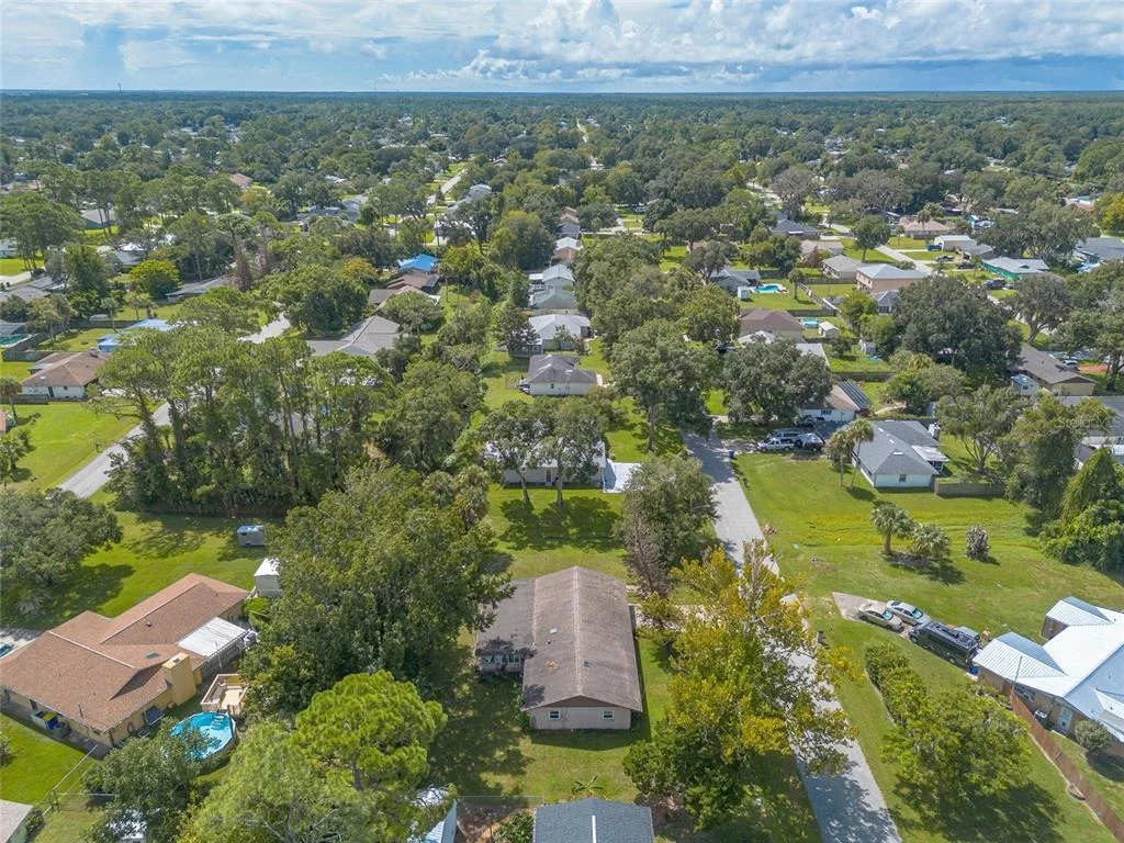 Photo of 2629 UMBRELLA TREE DRIVE