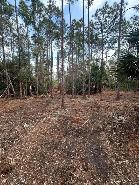 Photo of PANTERA LN
