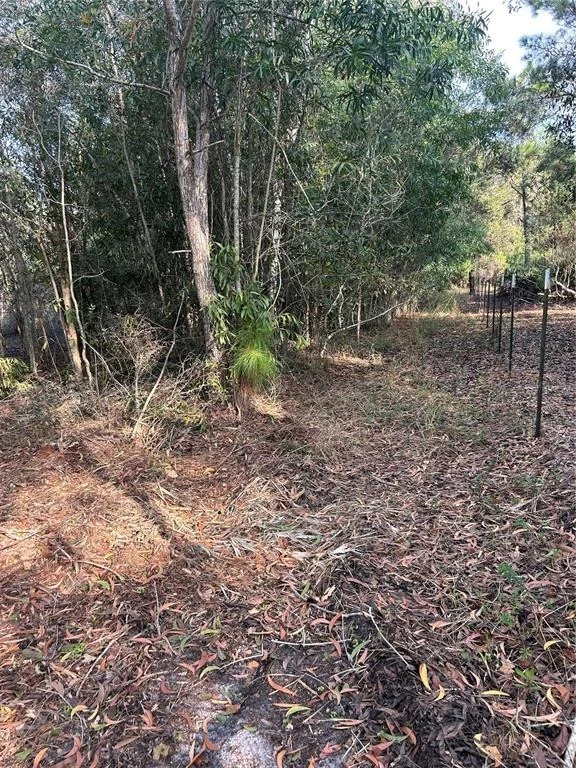 Photo of PANTERA LN