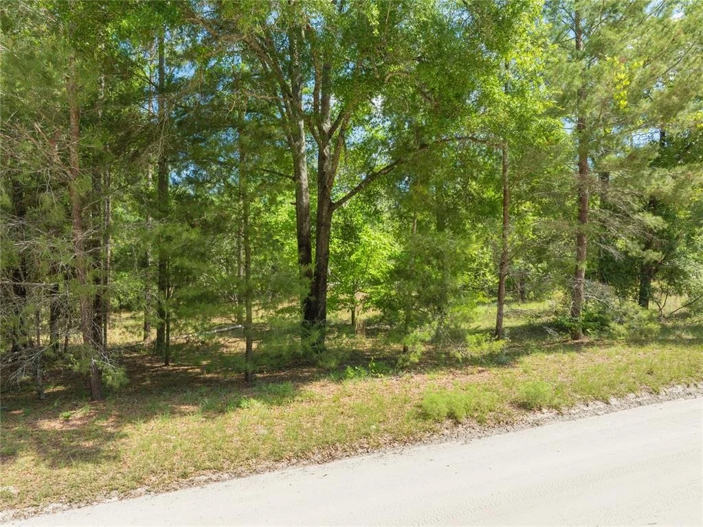 Photo of 0 PINE WAY