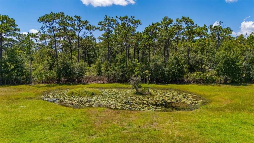 Photo of 3962 MCCLELLAND ROAD