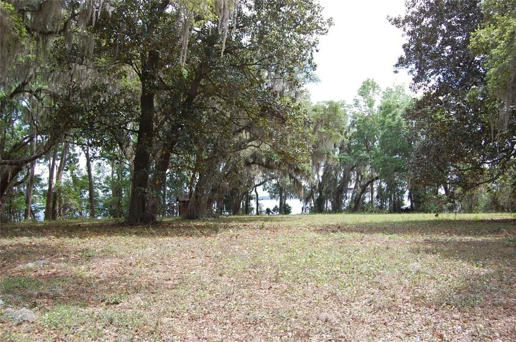 Photo of 254 ST JOHNS DRIVE