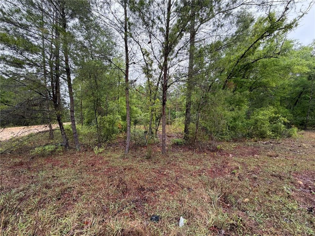 Photo of 301 RAINBOW DRIVE