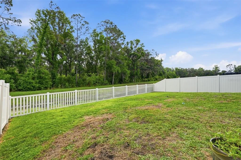 Photo of 1681 RED LOOP