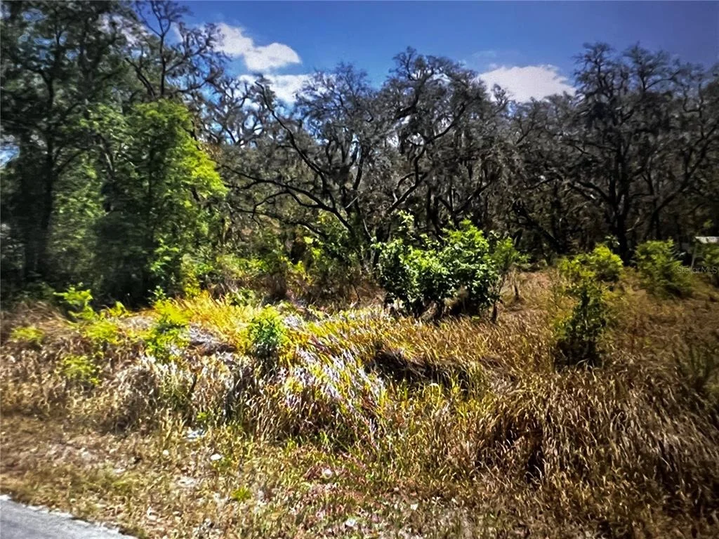 Photo of 293 OAK LANE DR.