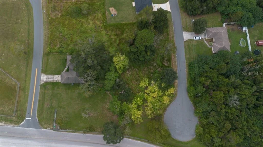 Photo of LAUREL CT