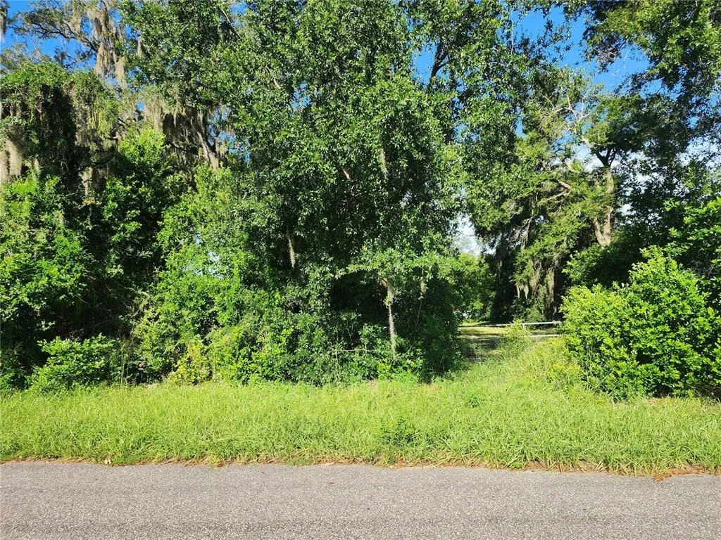 Photo of 1309 AMARYLLIS DRIVE