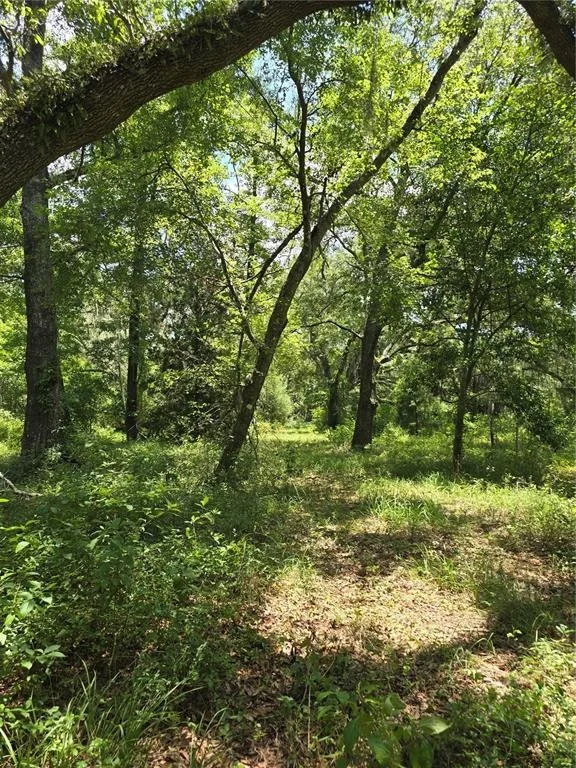 Photo of 7563 SE COUNTY ROAD 405