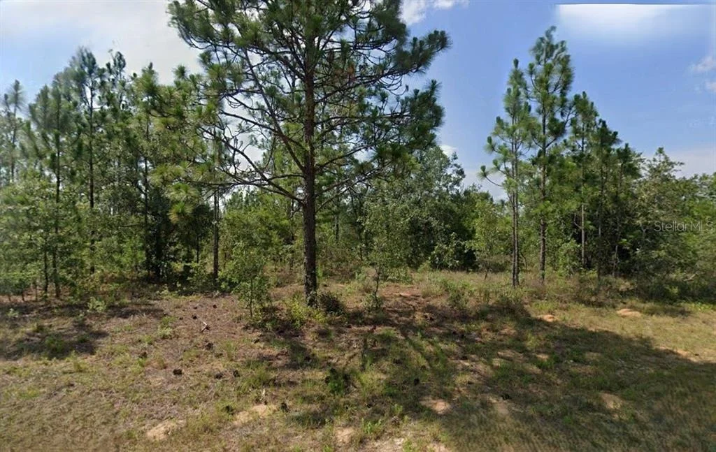 Photo of DURHAM DRIVE