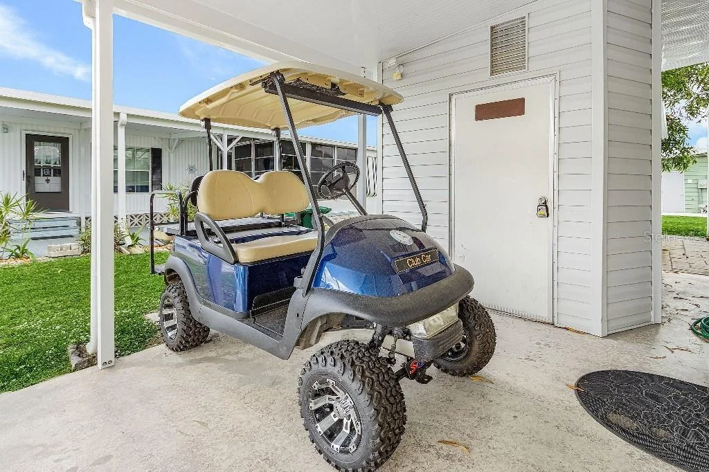 Photo of 251 IBIS
