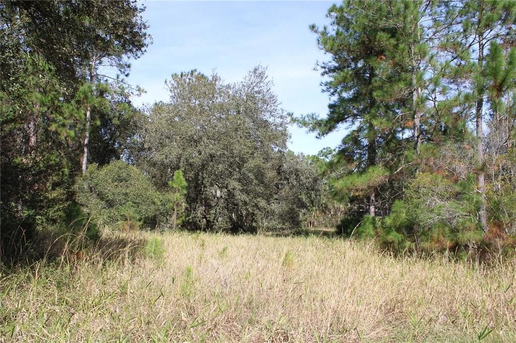 Photo of DUBOISE DRIVE