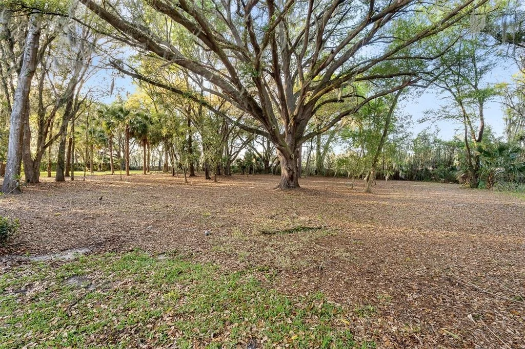 Photo of 7341 BELLA FORESTA PLACE