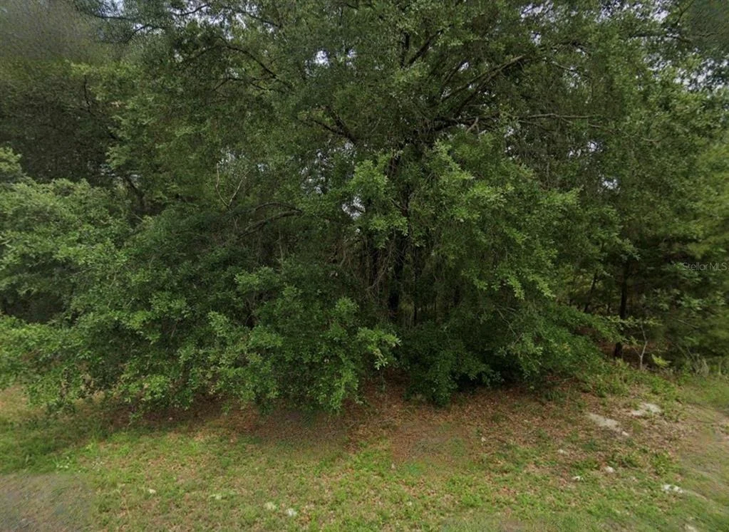 Photo of UNASSIGNED