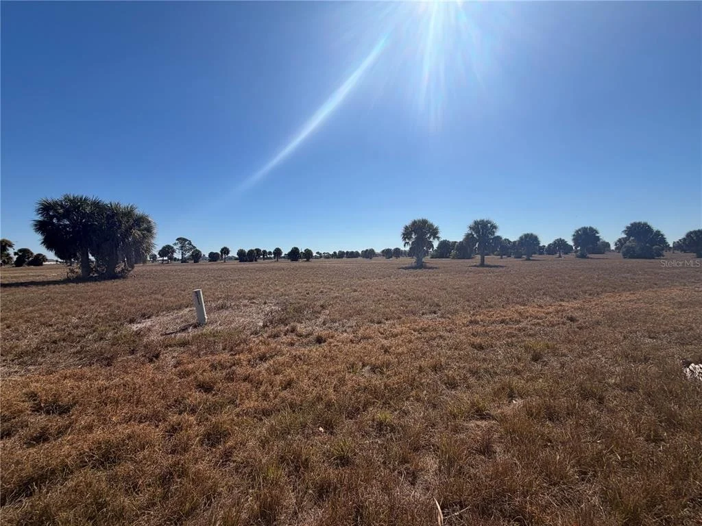 Photo of 24 LARK DRIVE