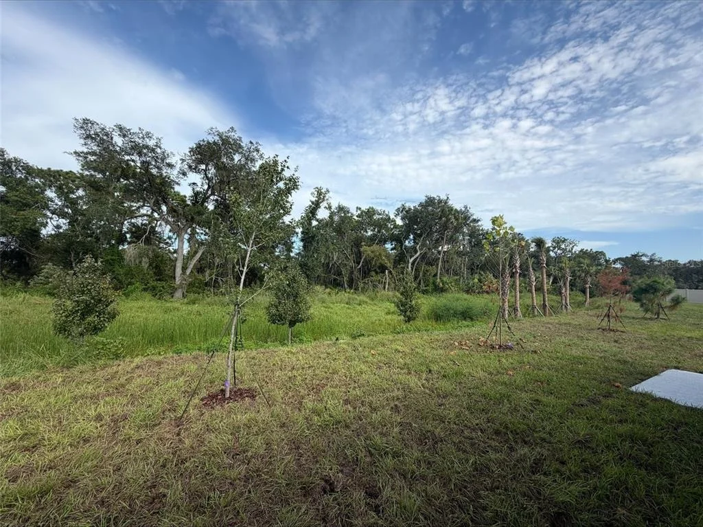 Photo of 10858 CURVING CREEK LOOP
