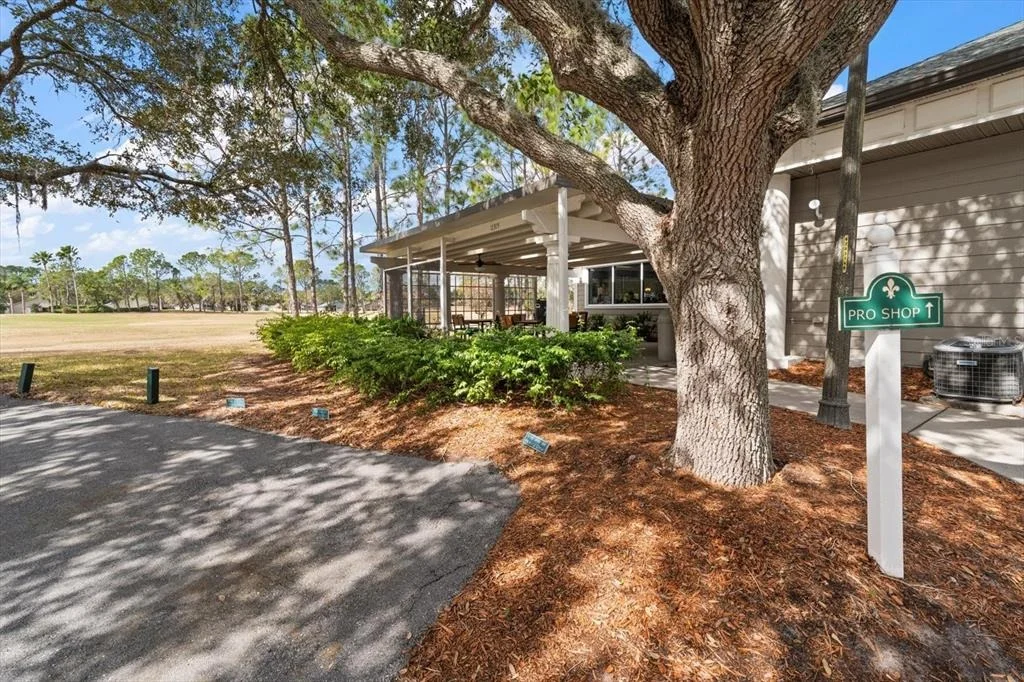 Photo of 1237 RAMBLING VINE COURT