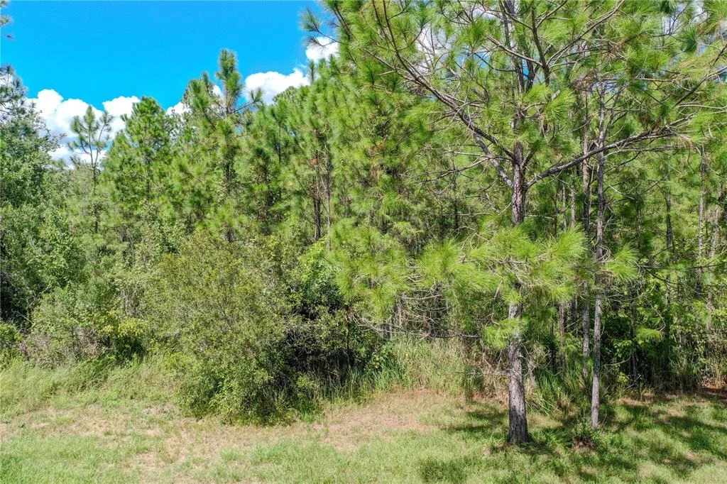 Photo of 747 MIRANDA TRAIL