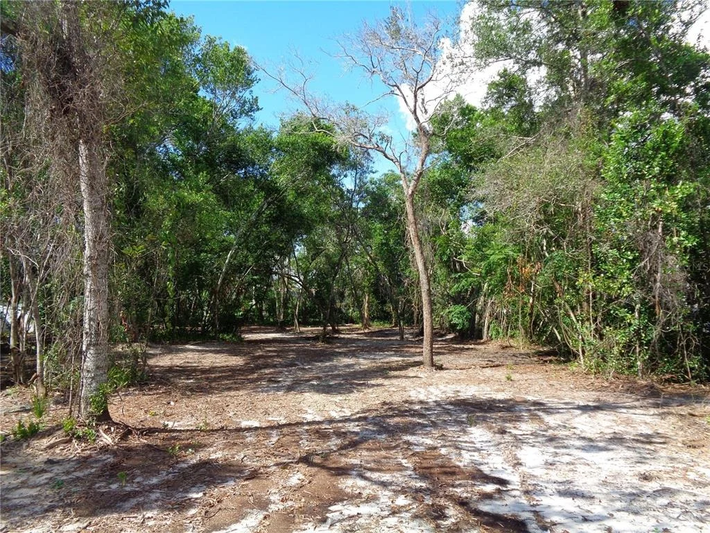 Photo of 8007 CHAUCER DRIVE