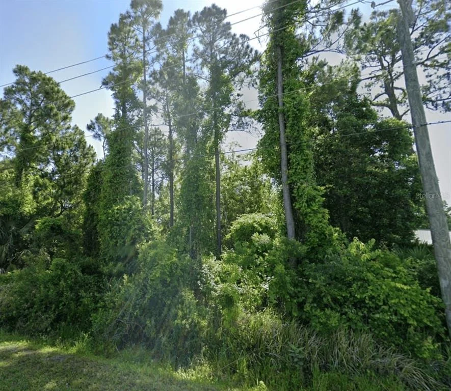 Photo of DOBBS ROAD