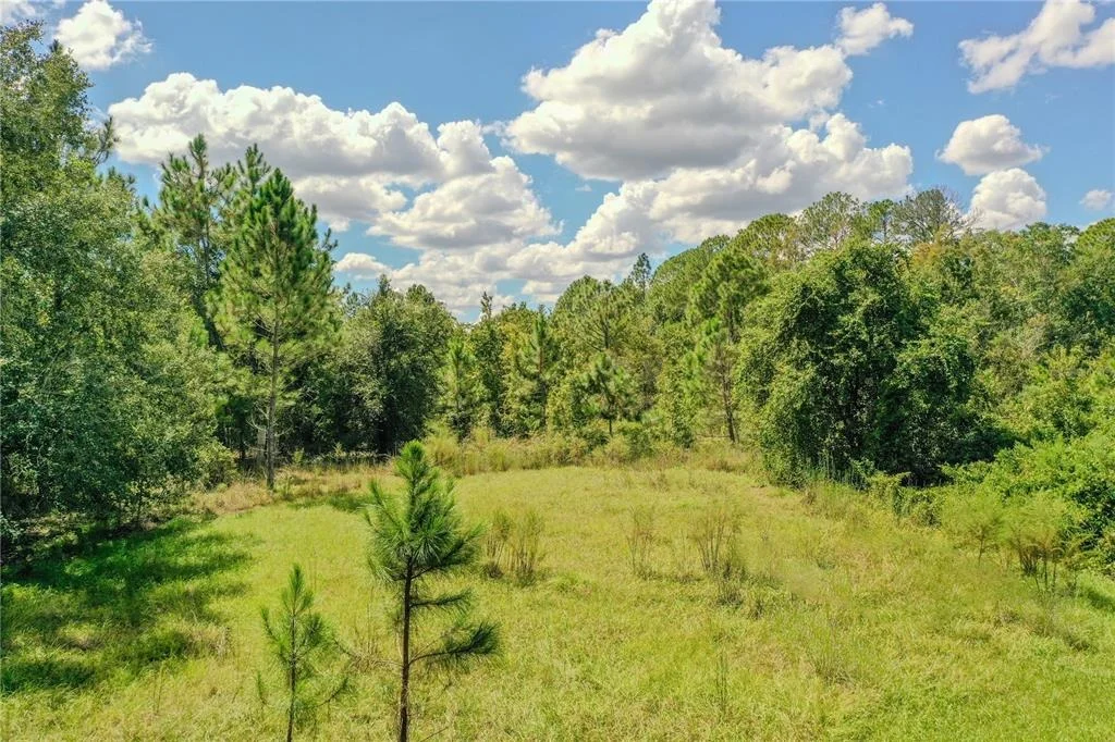 Photo of 747 MIRANDA TRAIL