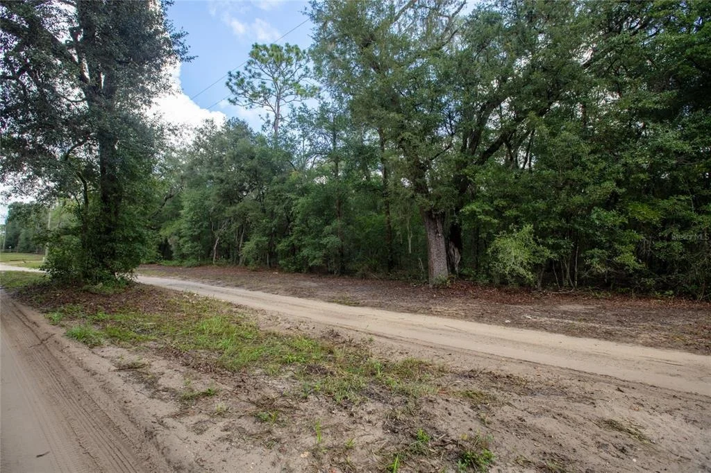 Photo of 5590 JENKINS LOOP DRIVE