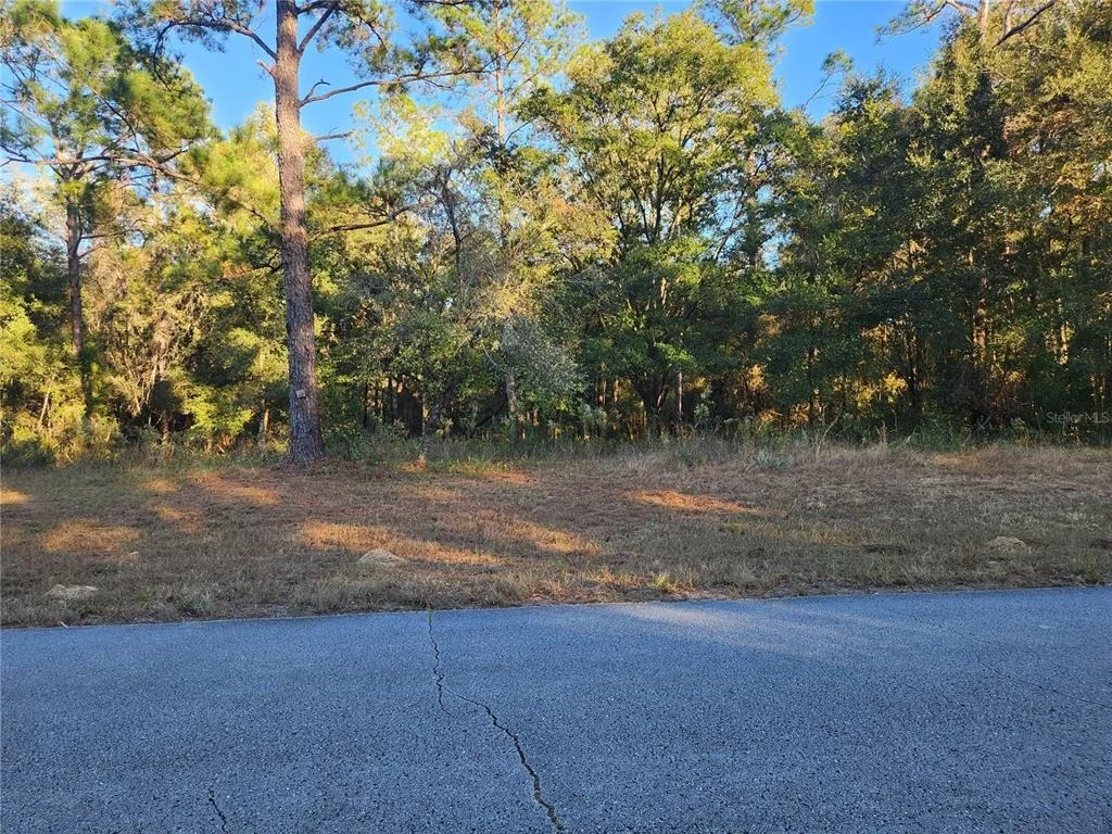 Photo of 9155 N ALAMEDA DRIVE