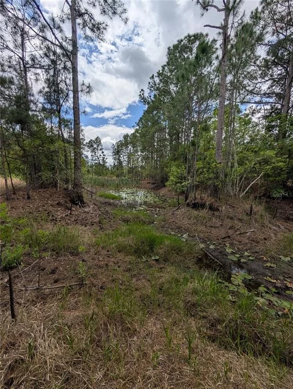 Photo of 38521 ILEX TRAIL