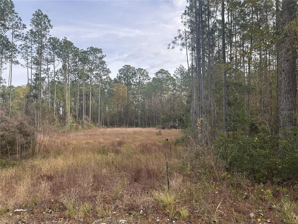 Photo of 75726 EDWARDS ROAD